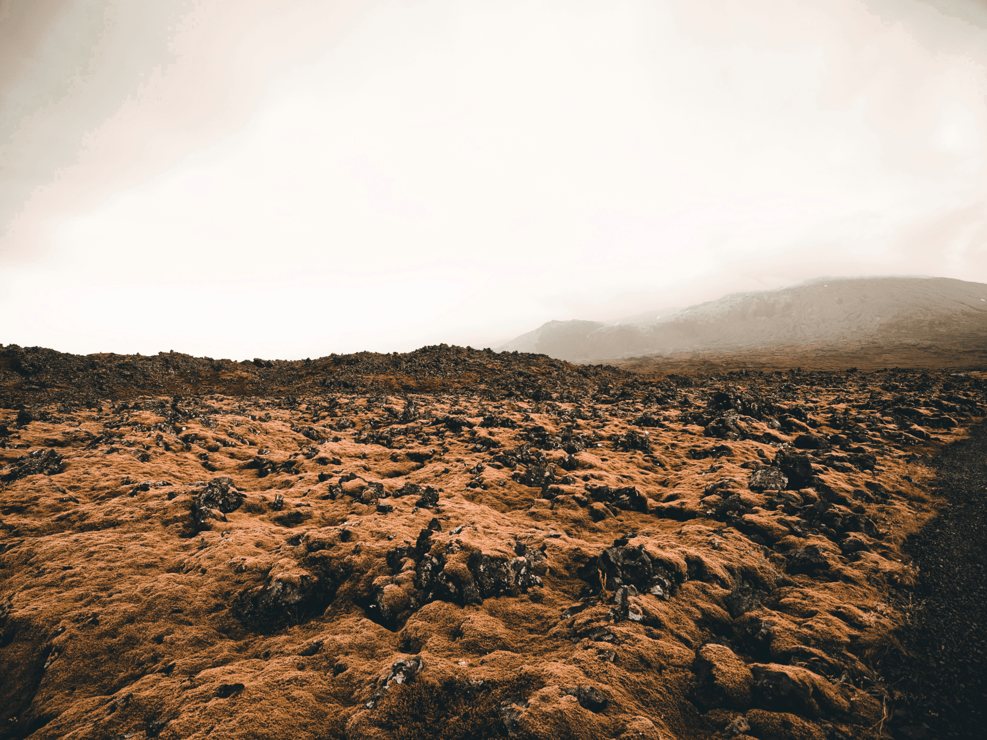 Búðaklettur